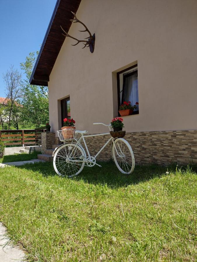 Casa De Vacanta Radu Novaci-Străini Exterior foto